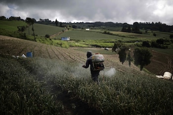 En el marco del Día