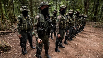 Gobierno suspende operaciones militares en Putumayo para facilitar concentración de disidencias de la Paz Total