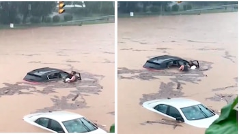 Heroico rescate en Connecticut: un hombre salvó a conductor amputado y su perro atrapados en inundación