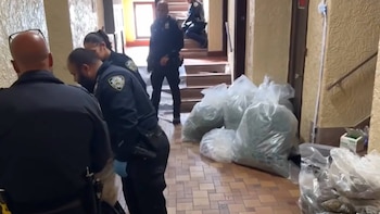 Desmantelan un cultivo ilegal de marihuana en un edificio del Bronx