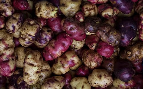 La papa sería uno de los alimentos impactados. - Crédito Grains Peru Company