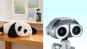 Robot panda con IA y