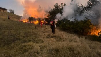 Incendio forestal en Amazonas consume