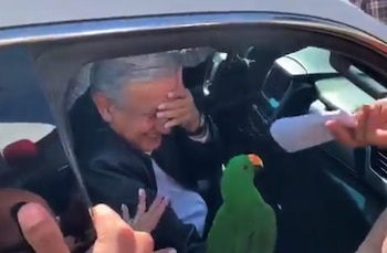 Imagen 6CPBBI7JBFC2XN7YWI3WV6LO3U