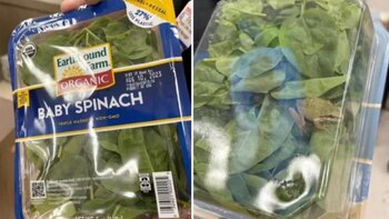 "Estaba viva y moviéndose. Gracias