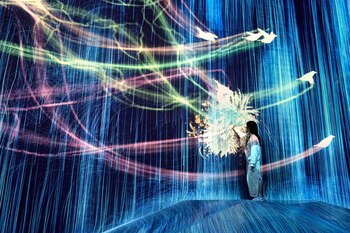 Guinness World Records certificó el