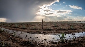 Alerta por El Niño 2026-2027: Los estados de México que enfrentarán la peor sequía y falta de agua según el BID