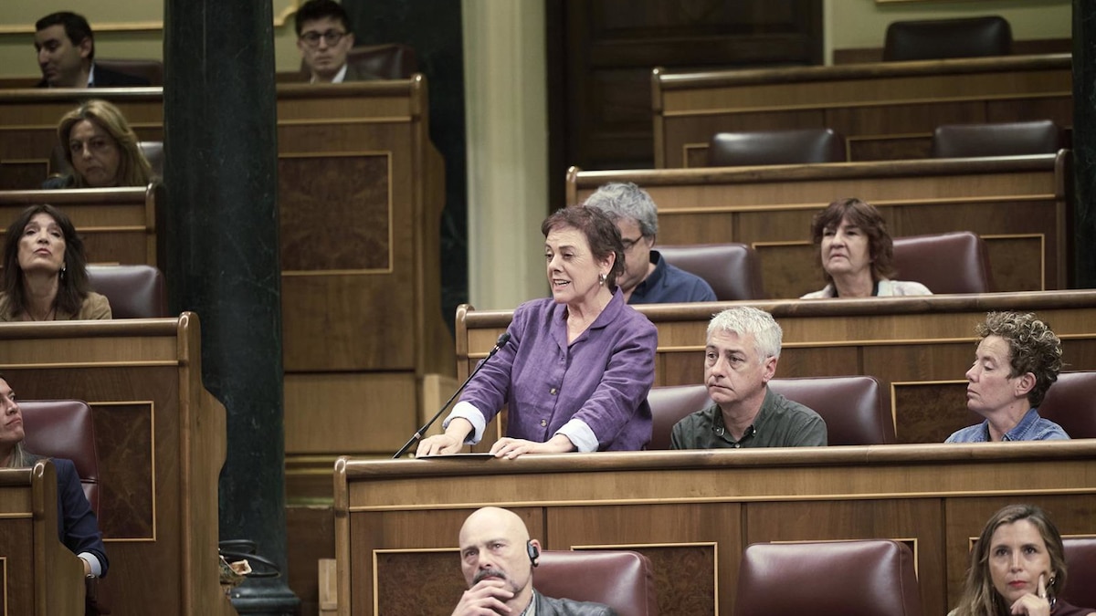 Bildu advierte a Sánchez que no basta con "resistir" y debe actuar ante la corrupción y avanzar en la plurinacionalidad