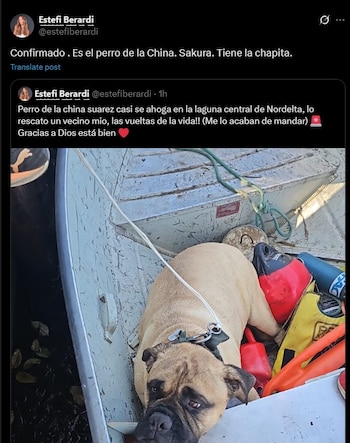 El perro de la China