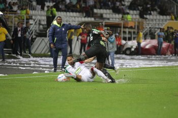 Ante la mirada de Hubert