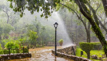 El pronóstico del clima en