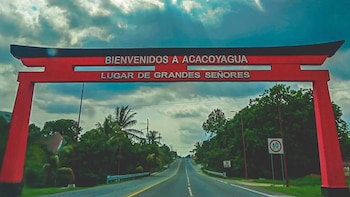 Las festividades religiosas y populares,