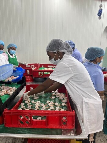 Gobierno trabaja en el fortalecimiento