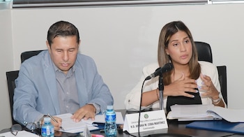 La diputada Alexandra Brenes impulsa una reforma para fortalecer la supervisión de los centros de acogimiento institucional. Tomada de la AN