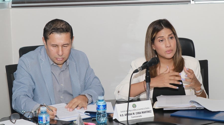 La diputada Alexandra Brenes impulsa una reforma para fortalecer la supervisión de los centros de acogimiento institucional. Tomada de la AN
