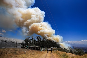 Imagen 6D5FCLYNEVET7AQFDVIUSWMJ5E