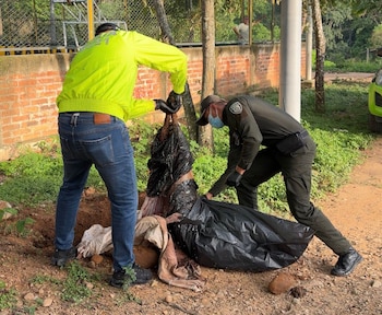 Se conoció que el presunto agresor habría causado la muerte de otros dos perros y que aún queda un animal en riesgo en la vivienda - crédito @Cportilla40 / X