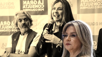 Vicky Dávila se alejó de