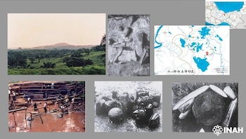 Los análisis revelan que las