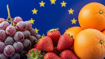 Uvas, fresas y naranjas entre las frutas importadas con más pesticidas en Europa, según estudio de la EFSA