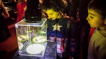 Museo Fernández Blanco