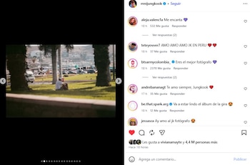 Captura de pantalla de una publicación en Instagram que muestra una fotografía de un parque con palmeras y una sección de comentarios