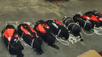 La droga fue escondida en bolsas impermeables. (Hong Kong Customs)