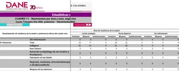 Amazonas entre los departamentos con