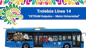 Conoce los nuevos Trolebuses de CDMX: así son las unidades eléctricas que modernizan el transporte público