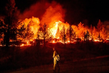 El calor persistente y las condiciones secas favorecieron la expansión de focos forestales, sobre todo en el oeste estadounidense (AP Foto/Noah Berger, Archivo)