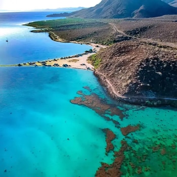 Bahía Concepción y el oasis de Mulegé convierten a este destino de Baja California Sur en uno de los lugares más atractivos para disfrutar de playas de aguas cristalinas, paisajes desérticos y naturaleza durante las vacaciones de verano
