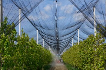 Un agricultor trabaja maniobrando su
