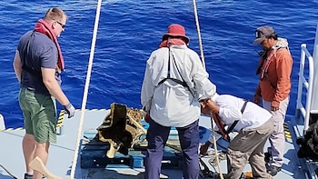 La colaboración entre organizaciones permitió