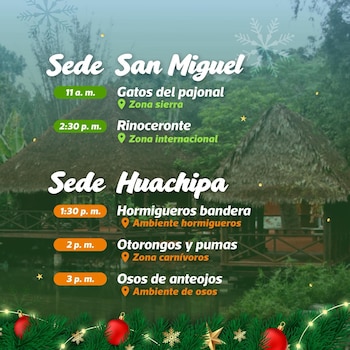 Actividades de hoy en el