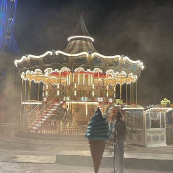 En la imagen se aprecia