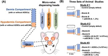Los científicos usaron ratas para