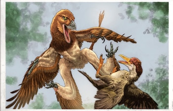Una composición de imágenes que incluye la silueta de un Lesothosaurus, fotografías de un fósil en roca y un hueso, y diagramas anatómicos detallados