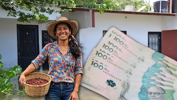 Anuncian subsidio de $500.000 para