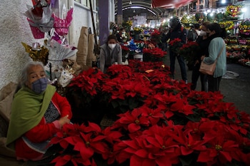 Ciudad de México, 1 de