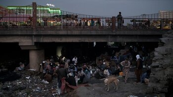 La ONU confirmó que Afganistán