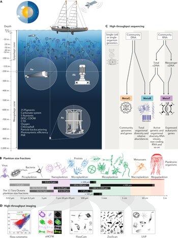 La misión Tara buscará caracterizar