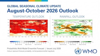 Gráfico de la OMM con dos mapas globales de pronóstico, uno de temperatura y otro de precipitación, con sus escalas de probabilidad de anomalías para agosto-octubre de 2026