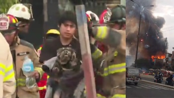 Rescatan a un perro entre