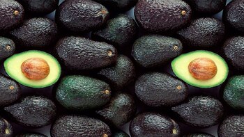 Precio de la palta baja