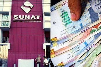 Conozca todos los detalles sobre