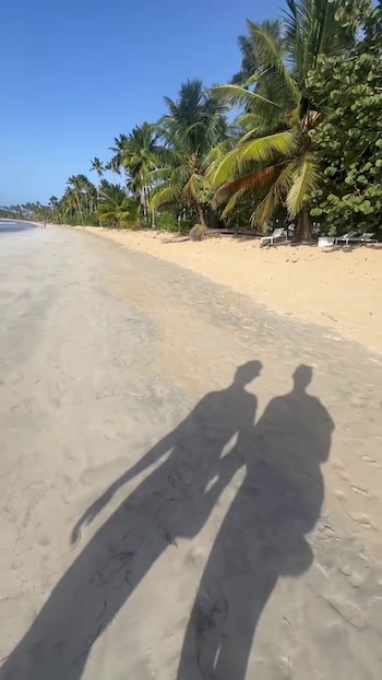 Dos sombras humanas se proyectan sobre la arena clara de una playa con palmeras bajo un cielo despejado