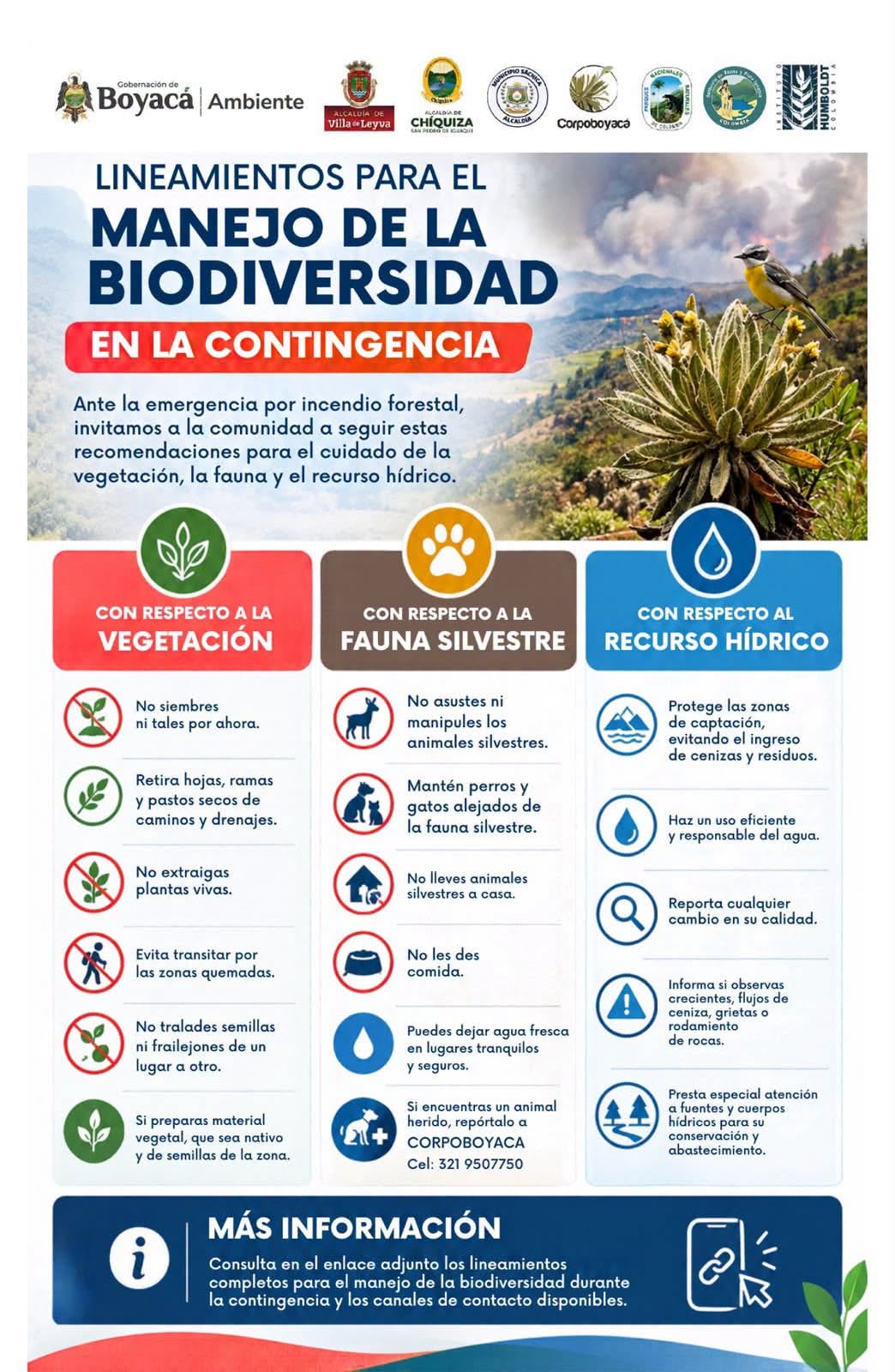 La Alcaldía de Villa de Leyva invitó a la comunidad al buen manejo de la biodiversidad - crédito Alcadía de Villa de Leyva/IG