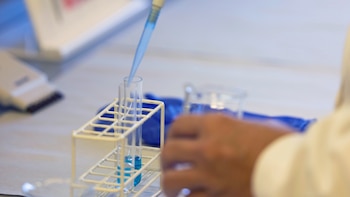 Un estudio avala la sospecha: