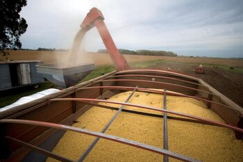 El año cerrará con un