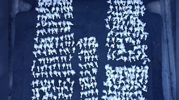 Balearon a un joven en